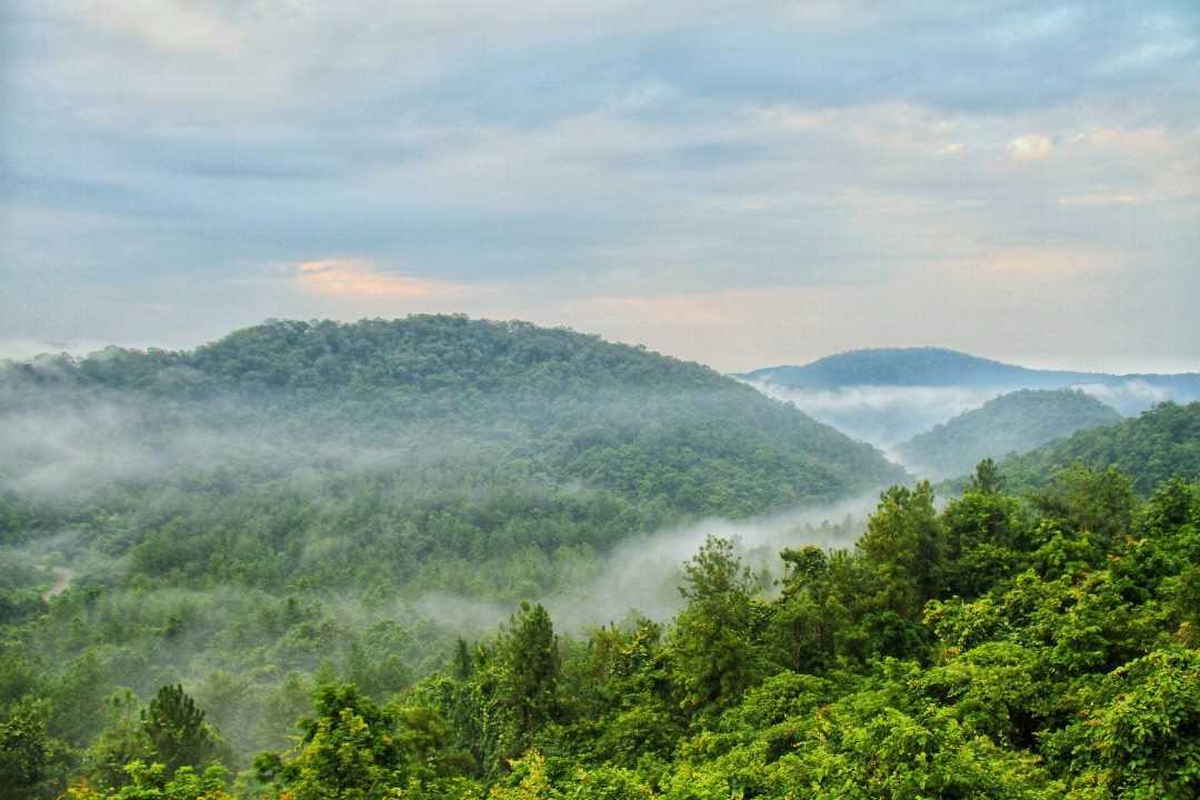 national park of papikondalu